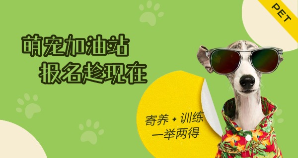 贵阳宠物寄训学校在哪-贵阳宠物寄训学校在哪里