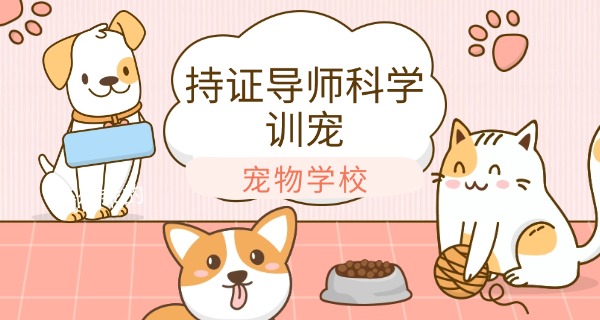 
                                    张掖宠物狗学校收费-张掖宠物狗学校收费