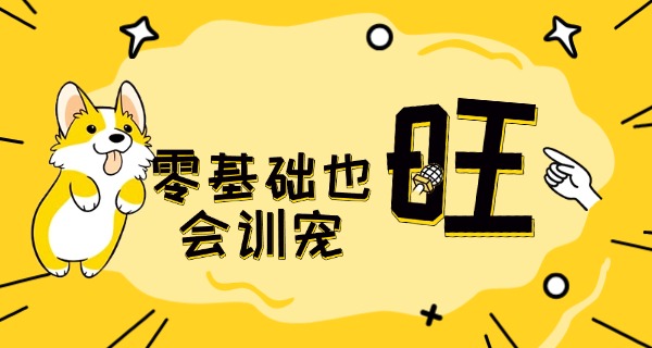 长沙职高宠物专业-长沙宠物职高