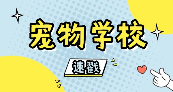 迪庆训狗的学校哪家好-迪庆好训狗学校