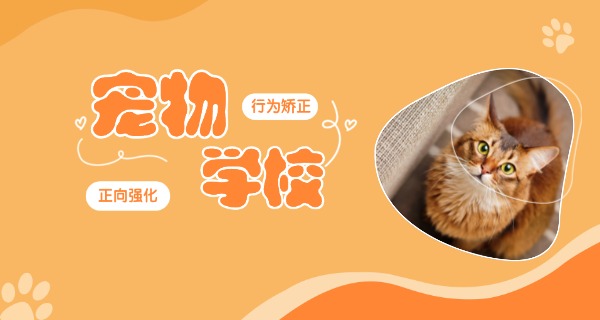 
                                    定西专业训狗学校在哪-定西专业训狗学校在哪里