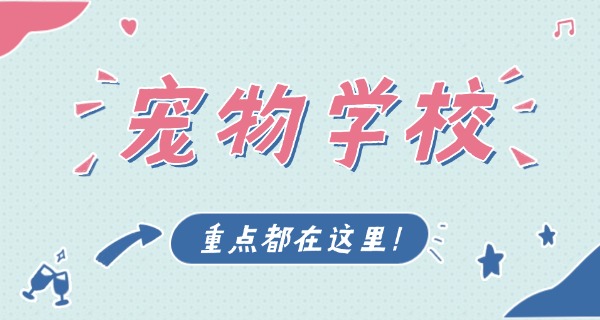 阿 里宠物寄训学校有吗