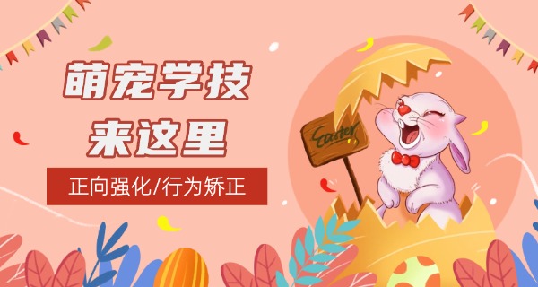 
                                    连云港宠物学校那儿学?-连云港宠物学校学