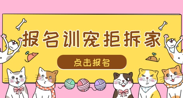 哪 里有培训宠物的学校