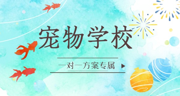 吕梁宠物培训班-吕梁宠物培训