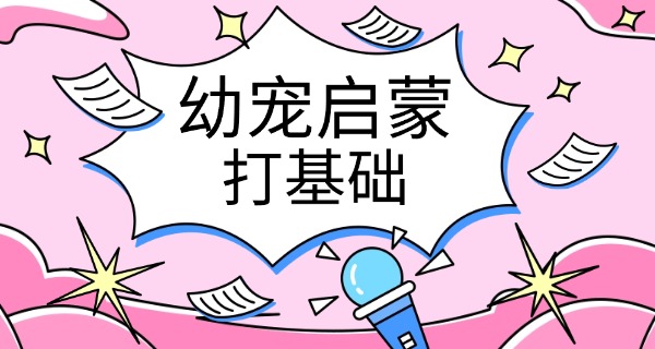 青岛宠物学校培训价格表一览-青岛宠物学校培训价格表
