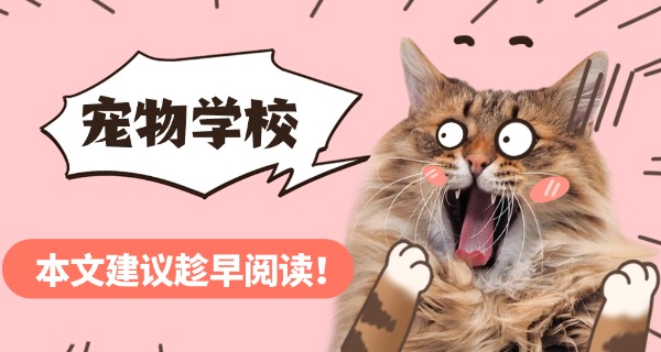 承德宠物培训班怎么找-承德宠物培训班找