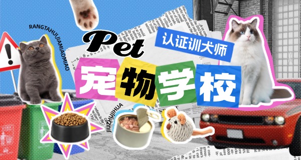 
                                    宠物狗培训学校-宠物培训学校