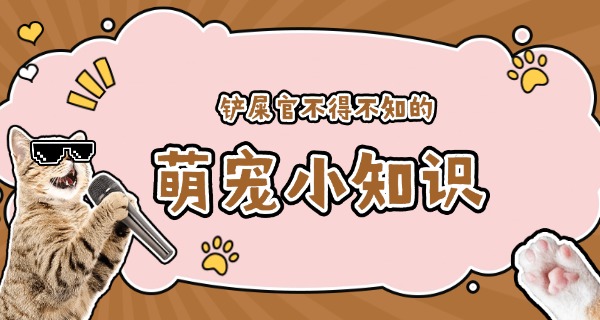 
                                    宠物医院职校技校能进吗-宠物医院能进