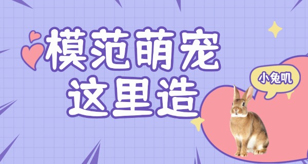 
                                    宠物学校教什么技校好-宠物学校教技能