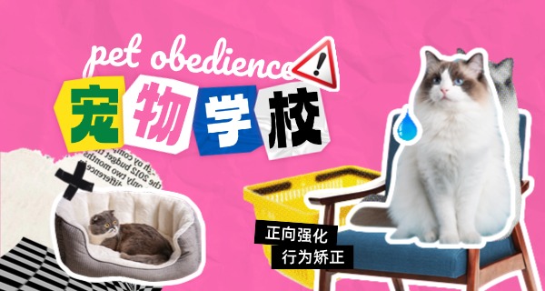 
                                    宁德的宠物学校哪家好-宁德宠物学校好