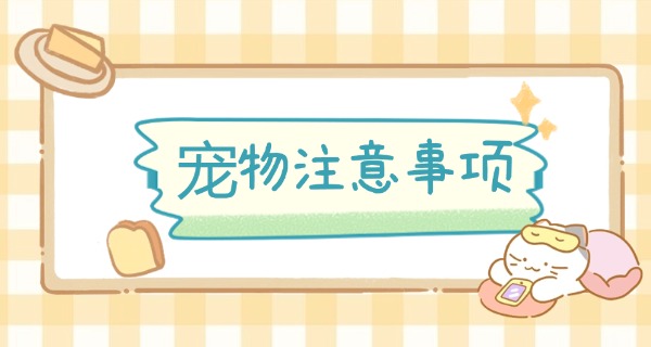 
                                    漳州宠物寄训学校在哪-漳州宠物寄训学校在哪里