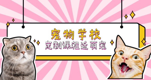 
                                    忻州找宠物学校上哪找-忻州宠物学校哪里找