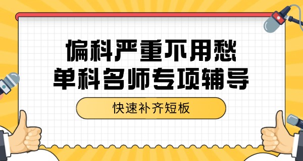 肥	东初中复读班学校